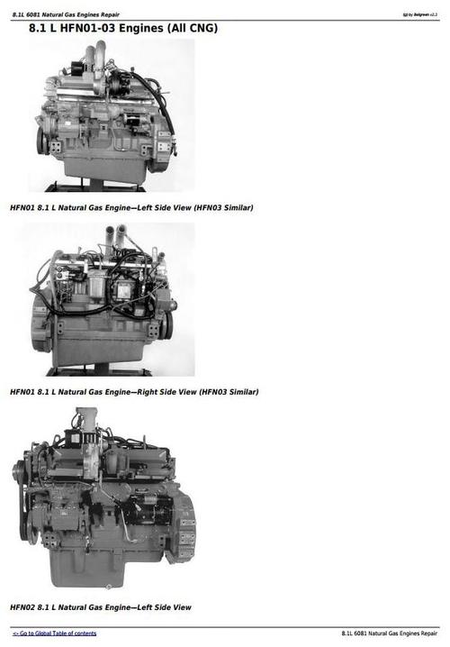 Product picture Deer 8.1L 6081 Natural Gas Engines Technical Service Manual (CTM87)